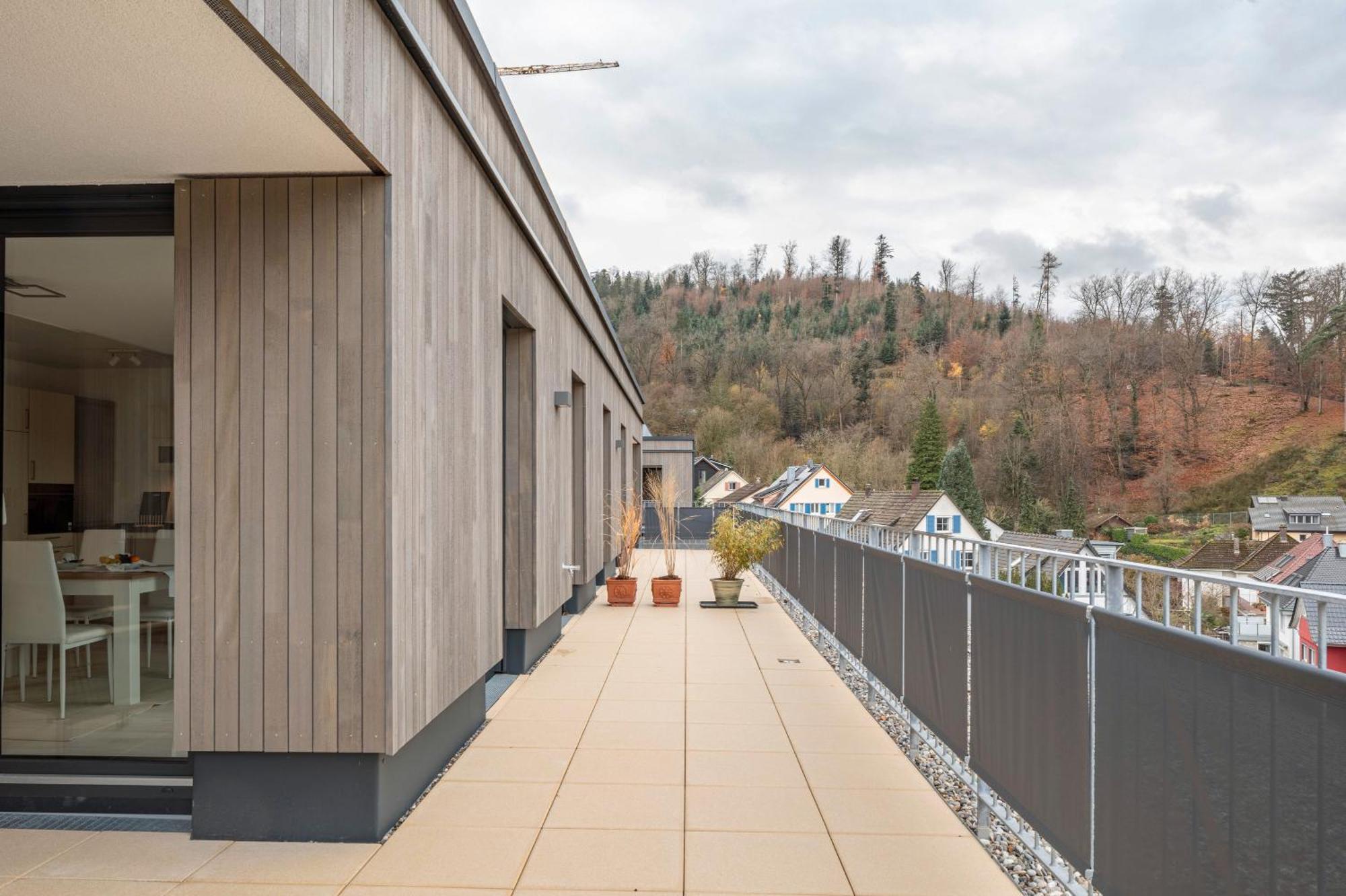 Felsenkeller Appartements Waldkirch Dış mekan fotoğraf