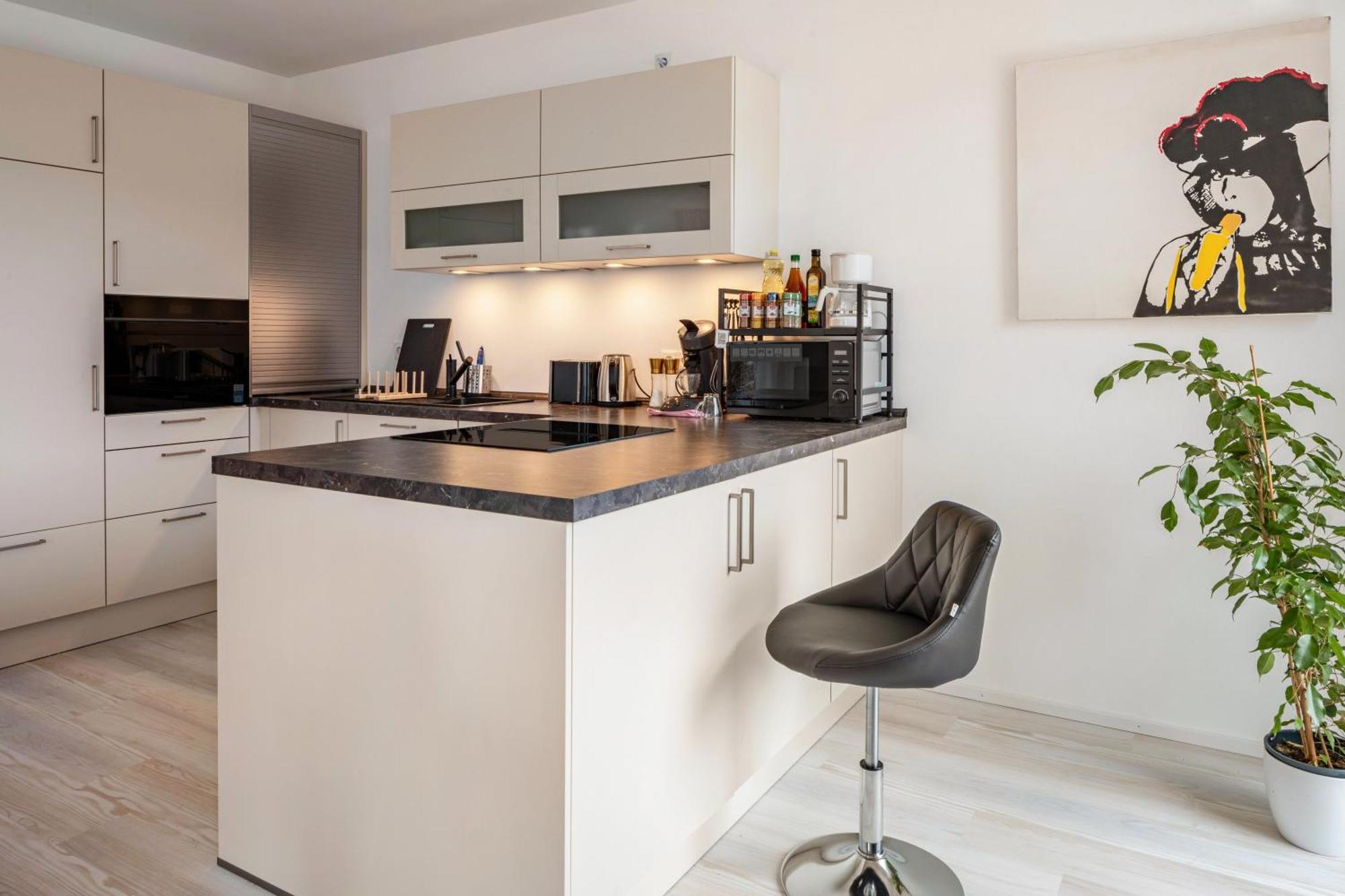 Felsenkeller Appartements Waldkirch Dış mekan fotoğraf