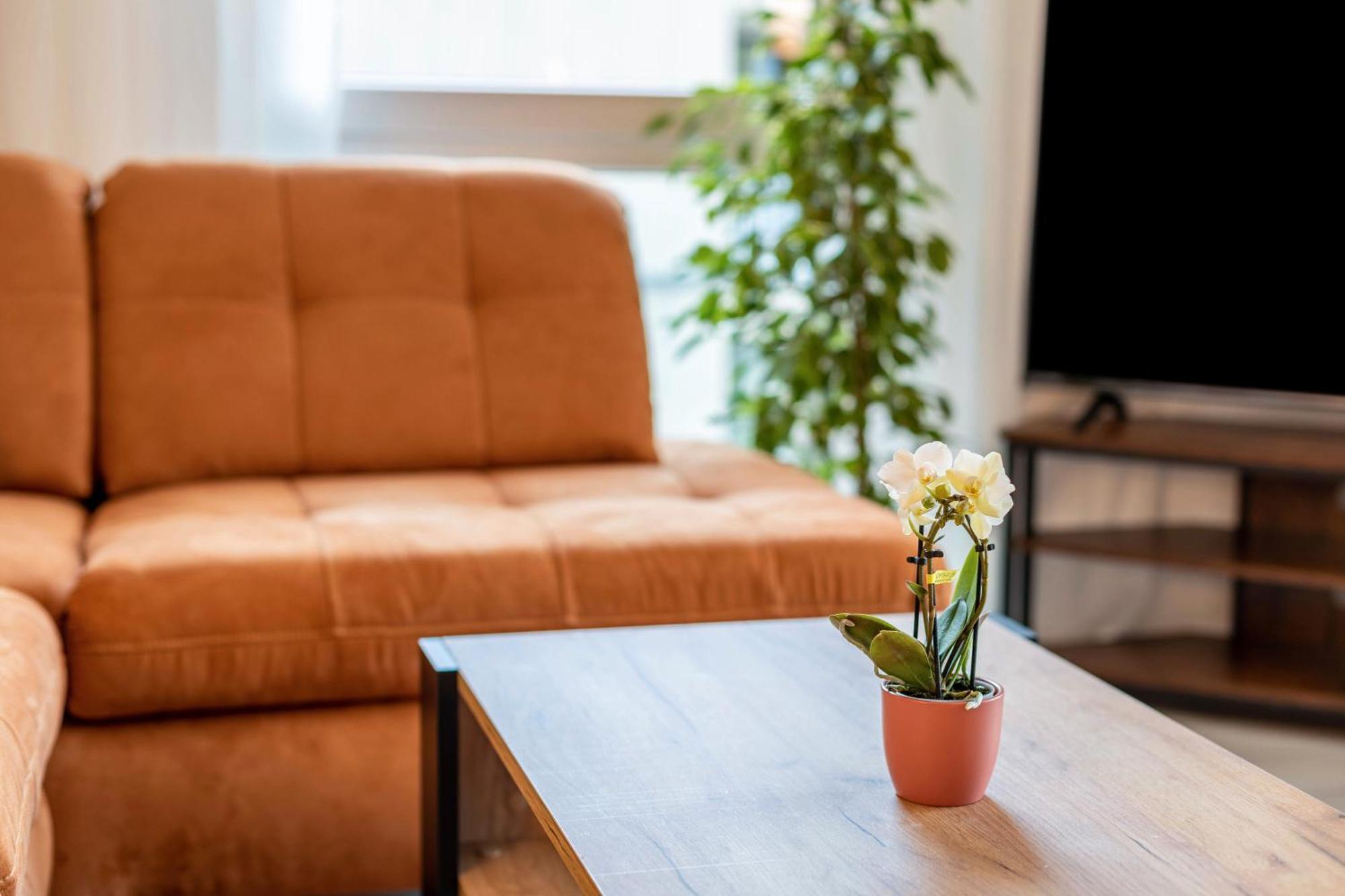Felsenkeller Appartements Waldkirch Dış mekan fotoğraf