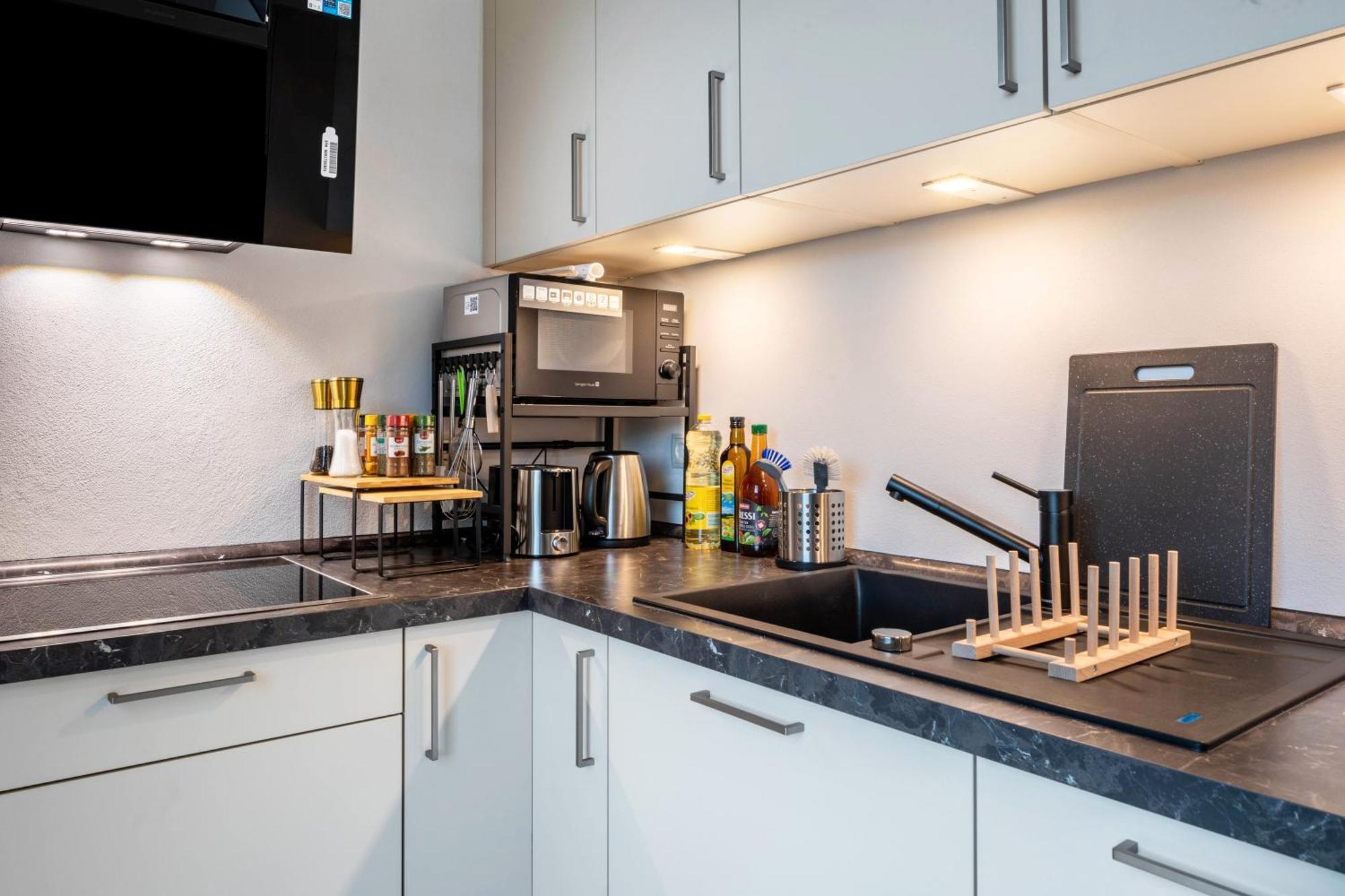 Felsenkeller Appartements Waldkirch Dış mekan fotoğraf